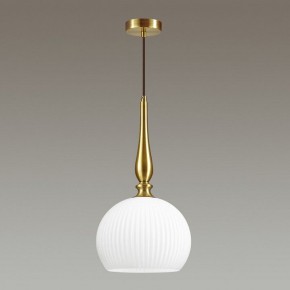 Подвесной светильник Odeon Light Runga 4766/1 в Александровском - alexsandrovskoe.mebel24.online | фото 4
