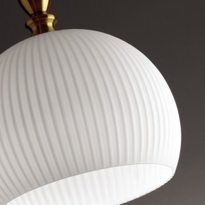 Подвесной светильник Odeon Light Runga 4766/1 в Александровском - alexsandrovskoe.mebel24.online | фото 8