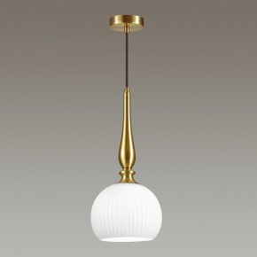 Подвесной светильник Odeon Light Runga 4767/1 в Александровском - alexsandrovskoe.mebel24.online | фото 4