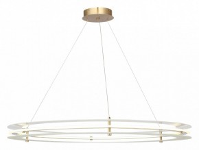 Подвесной светильник ST-Luce FAGY SL6245.213.01 в Александровском - alexsandrovskoe.mebel24.online | фото 2