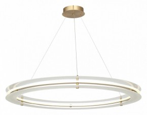 Подвесной светильник ST-Luce FAGY SL6245.213.01 в Александровском - alexsandrovskoe.mebel24.online | фото 4