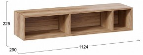 Полка навесная ТД-102.28 в Александровском - alexsandrovskoe.mebel24.online | фото 9