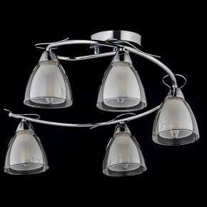 Потолочная люстра Arti Lampadari Paola, Tavenna Nickel Paola E 1.1.5 N в Александровском - alexsandrovskoe.mebel24.online | фото 2