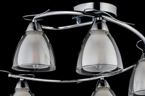 Потолочная люстра Arti Lampadari Paola, Tavenna Nickel Paola E 1.1.5 N в Александровском - alexsandrovskoe.mebel24.online | фото 4