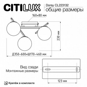Потолочная люстра Citilux Dorsy CL223132 в Александровском - alexsandrovskoe.mebel24.online | фото 12