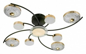 Потолочная люстра Escada Liberta 10208/8LED в Александровском - alexsandrovskoe.mebel24.online | фото 2