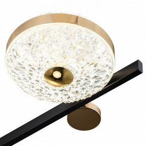 Потолочная люстра Escada Liberta 10219/6LED в Александровском - alexsandrovskoe.mebel24.online | фото 6