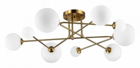 Потолочная люстра EVOLUCE Fantini SLE2211-302-09 в Александровском - alexsandrovskoe.mebel24.online | фото