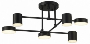 Потолочная люстра EVOLUCE Nobel SLE201042-06 в Александровском - alexsandrovskoe.mebel24.online | фото 10
