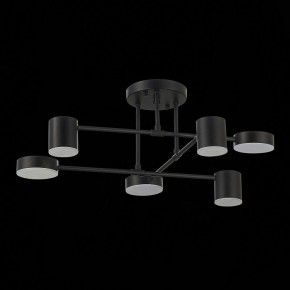 Потолочная люстра EVOLUCE Nobel SLE201042-06 в Александровском - alexsandrovskoe.mebel24.online | фото 14