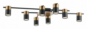 Потолочная люстра Favourite Topper 2825-8P в Александровском - alexsandrovskoe.mebel24.online | фото 2