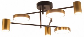 Потолочная люстра Kink Light Рапис 07645-6D,19(20) в Александровском - alexsandrovskoe.mebel24.online | фото