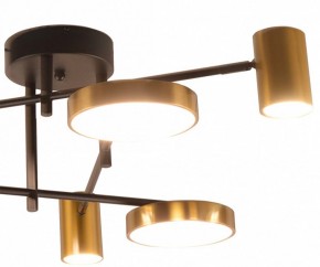 Потолочная люстра Kink Light Рапис 07645-6D,19(20) в Александровском - alexsandrovskoe.mebel24.online | фото 2