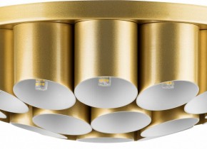 Потолочная люстра Lightstar Siena 720222 в Александровском - alexsandrovskoe.mebel24.online | фото 3
