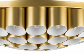 Потолочная люстра Lightstar Siena 720402 в Александровском - alexsandrovskoe.mebel24.online | фото 3