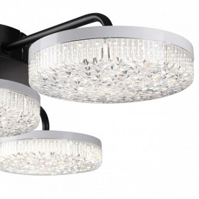 Потолочная люстра Lumion Didana 8236/4CL в Александровском - alexsandrovskoe.mebel24.online | фото 7