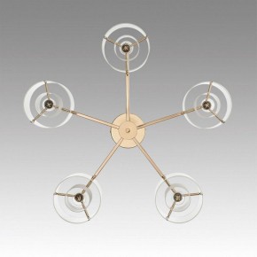 Потолочная люстра Lumion Verdi 6587/5C в Александровском - alexsandrovskoe.mebel24.online | фото 4