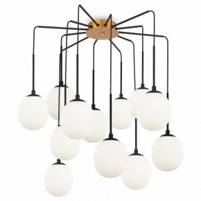 Потолочная люстра Maytoni Branch MOD176PL-12G в Александровском - alexsandrovskoe.mebel24.online | фото 3