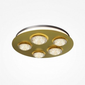 Потолочная люстра Maytoni Pharao MOD361CL-L58BS3K в Александровском - alexsandrovskoe.mebel24.online | фото