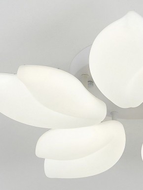 Потолочная люстра Natali Kovaltseva Effect LED LAMPS 81116 в Александровском - alexsandrovskoe.mebel24.online | фото 10