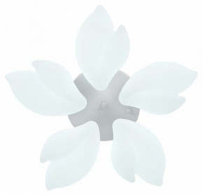 Потолочная люстра Natali Kovaltseva Effect LED LAMPS 81116 в Александровском - alexsandrovskoe.mebel24.online | фото 3