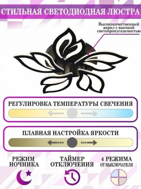 Потолочная люстра Natali Kovaltseva High-Tech Led Lamps HIGH-TECH LED LAMPS 82006 BLACK в Александровском - alexsandrovskoe.mebel24.online | фото 5