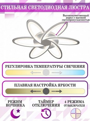 Потолочная люстра Natali Kovaltseva Smart home LED LAMPS 81217 в Александровском - alexsandrovskoe.mebel24.online | фото 5