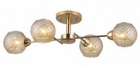 Потолочная люстра Rivoli Amalia Б0050815 в Александровском - alexsandrovskoe.mebel24.online | фото 3
