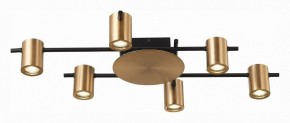 Потолочная люстра ST-Luce Veroli SL1207.402.06 в Александровском - alexsandrovskoe.mebel24.online | фото 3