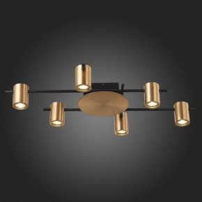 Потолочная люстра ST-Luce Veroli SL1207.402.06 в Александровском - alexsandrovskoe.mebel24.online | фото 6