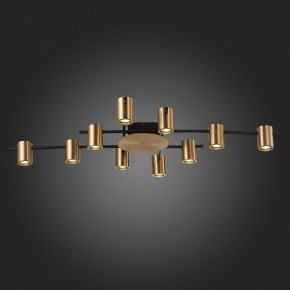 Потолочная люстра ST-Luce Veroli SL1207.402.10 в Александровском - alexsandrovskoe.mebel24.online | фото 6