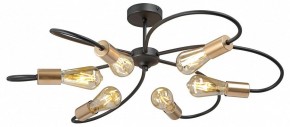 Потолочная люстра Vitaluce V3076 V3076-1/6PL в Александровском - alexsandrovskoe.mebel24.online | фото 3