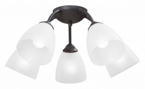 Потолочная люстра Vitaluce V3184 V3737-2/5PL в Александровском - alexsandrovskoe.mebel24.online | фото