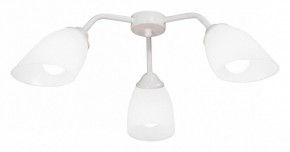 Потолочная люстра Vitaluce V31950 V31950/3PL в Александровском - alexsandrovskoe.mebel24.online | фото