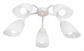 Потолочная люстра Vitaluce V31950 V31950/5PL в Александровском - alexsandrovskoe.mebel24.online | фото