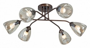 Потолочная люстра Vitaluce  V4954-7/6PL в Александровском - alexsandrovskoe.mebel24.online | фото