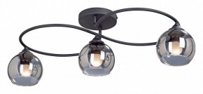 Потолочная люстра Vitaluce  V4965-1/3PL в Александровском - alexsandrovskoe.mebel24.online | фото