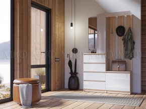 ЧЕЛСИ Прихожая в Александровском - alexsandrovskoe.mebel24.online | фото