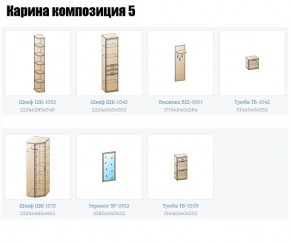Прихожая Карина (модульная) в Александровском - alexsandrovskoe.mebel24.online | фото 2