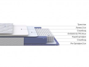 PROxSON Матрас Active Duo S/F (Ткань Трикотаж Эко) 80x190 в Александровском - alexsandrovskoe.mebel24.online | фото 2
