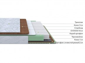 PROxSON Матрас Green Duo M/F (Tricotage Dream) 80x200 в Александровском - alexsandrovskoe.mebel24.online | фото 1