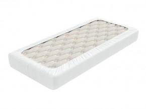 PROxSON Защитный чехол Aqua Save Light S (Ткань влагостойкая Tencel Jersey) 120x190 в Александровском - alexsandrovskoe.mebel24.online | фото 1