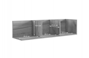 РИЧ Полка навесная 2 в Александровском - alexsandrovskoe.mebel24.online | фото 3