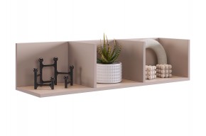 РИЧ Полка навесная 2 в Александровском - alexsandrovskoe.mebel24.online | фото 7