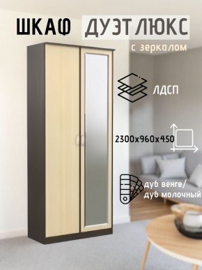 Шкаф 2-х створчатый Дуэт Люкс с зеркалом в Александровском - alexsandrovskoe.mebel24.online | фото 1