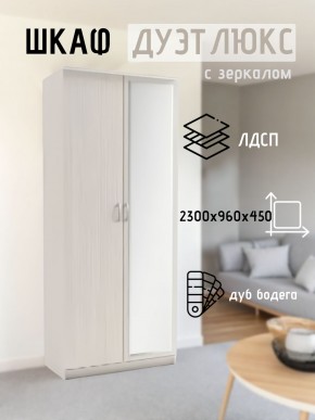 Шкаф 2-х створчатый Дуэт Люкс с зеркалом в Александровском - alexsandrovskoe.mebel24.online | фото 5