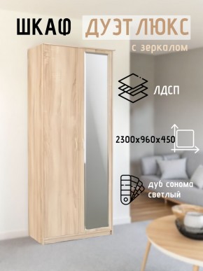 Шкаф 2-х створчатый Дуэт Люкс с зеркалом в Александровском - alexsandrovskoe.mebel24.online | фото 7