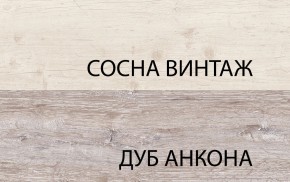 Шкаф 2DG2S, MONAKO, цвет Сосна винтаж/дуб анкона в Александровском - alexsandrovskoe.mebel24.online | фото