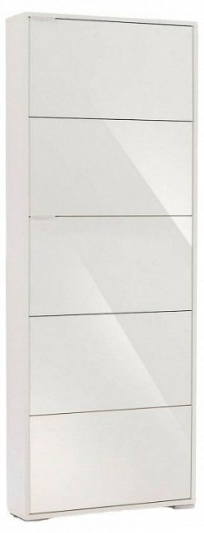Шкаф для обуви Viva-5S в Александровском - alexsandrovskoe.mebel24.online | фото