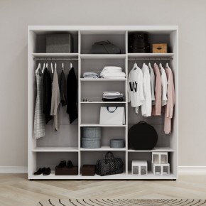 Шкаф-купе Акцент-Лайт З 1500-600 в Александровском - alexsandrovskoe.mebel24.online | фото 2